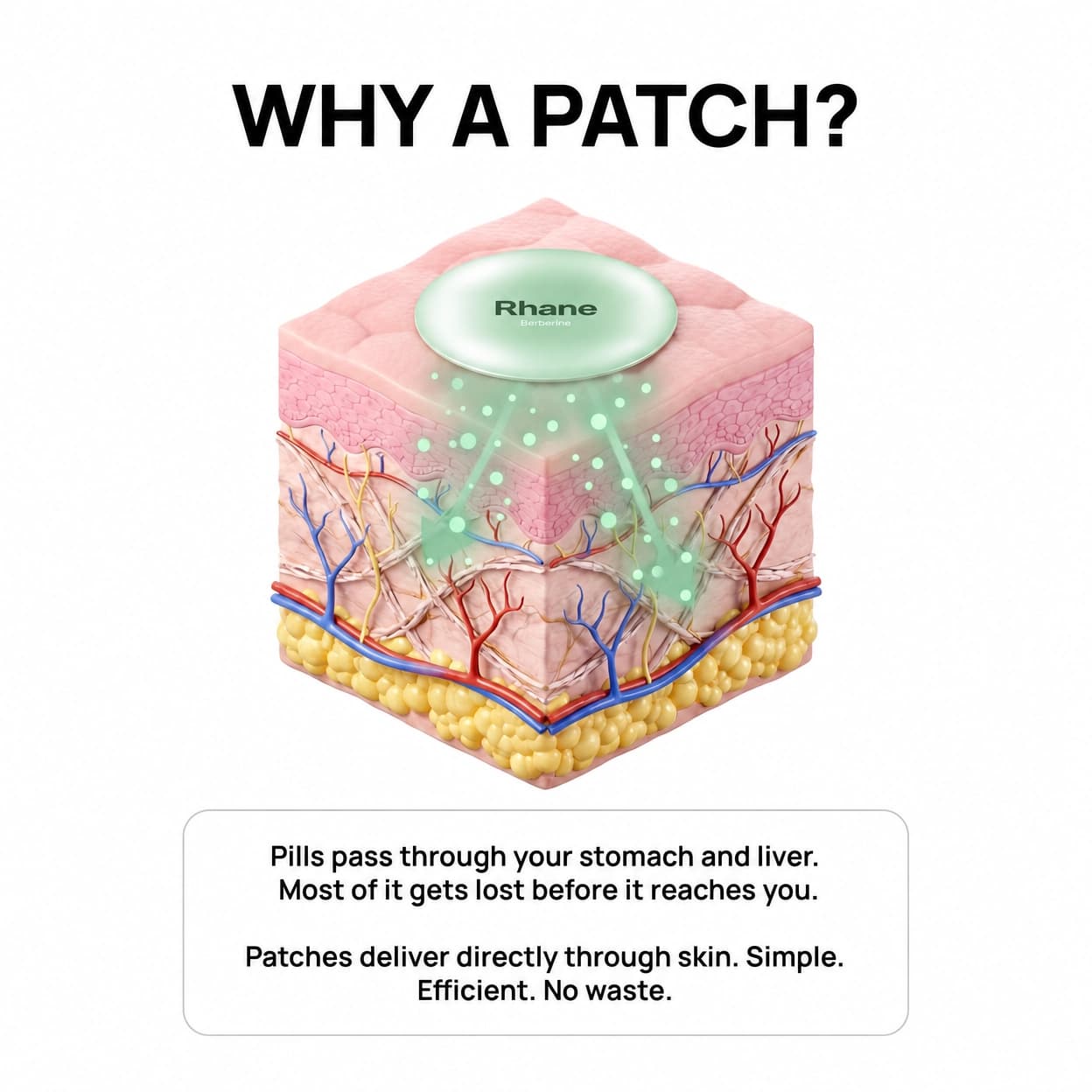 Berberine Patches (Upgraded GLP-1)