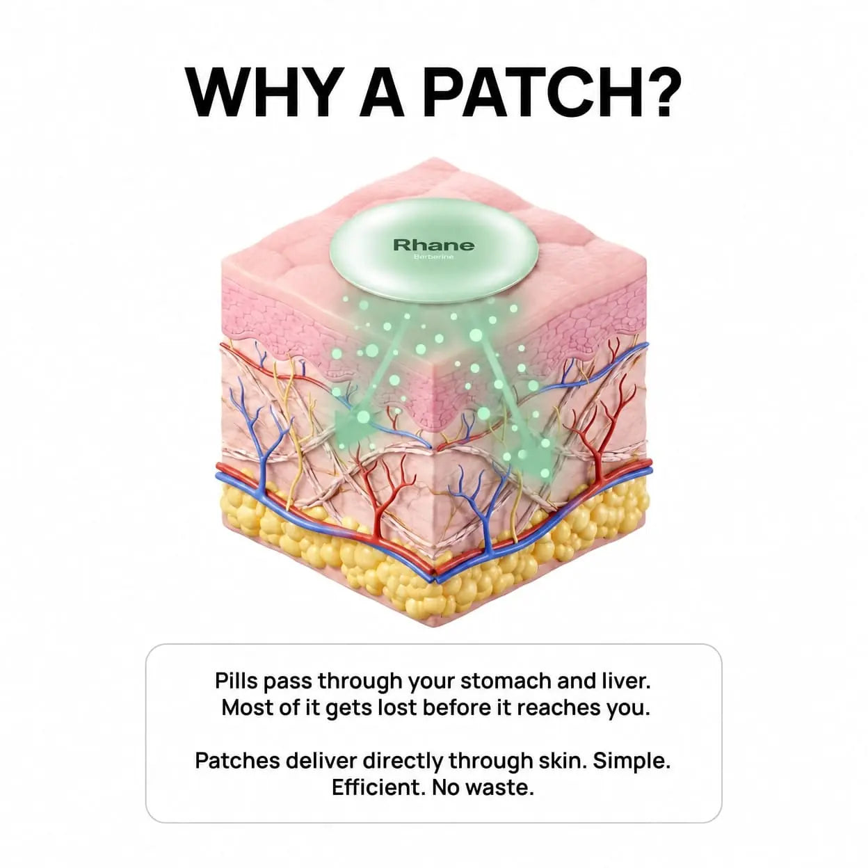 Berberine Patches (Upgraded GLP-1)